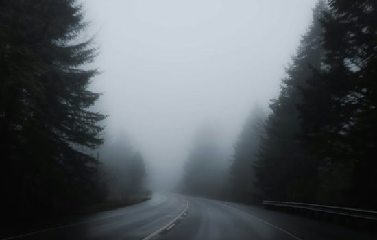 The Real Bigfoot Highway