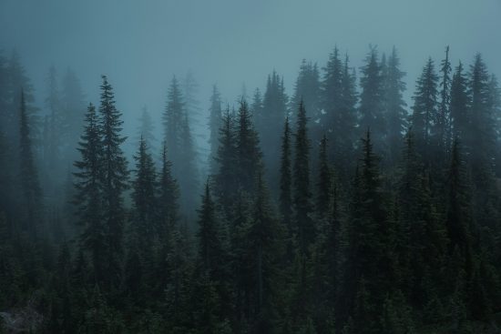 From Pacwest Bigfoot To Where Bigfoot Roams